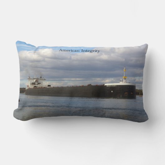 アメリカのインテグリティ腰枕 ランバークッション (正面)