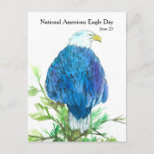 アメリカのイーグルの日6月20日の野生動物 ポストカード (正面)