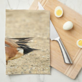 アメリカのウィゲオンビーチ キッチンタオル (四つ折り)