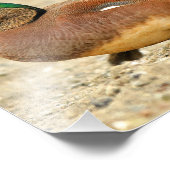 アメリカのウィゲオンビーチ フォトプリント            (角)