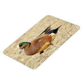 アメリカのウィゲオンビーチ マグネット (左側)