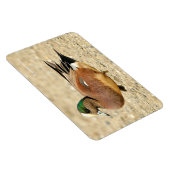 アメリカのウィゲオンビーチ マグネット (右側)