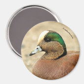 アメリカのウィゲオンビーチ マグネット (正面/裏面)