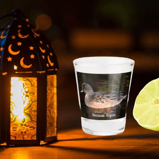 アメリカのウィゲオン野生動物写真 ショットグラス