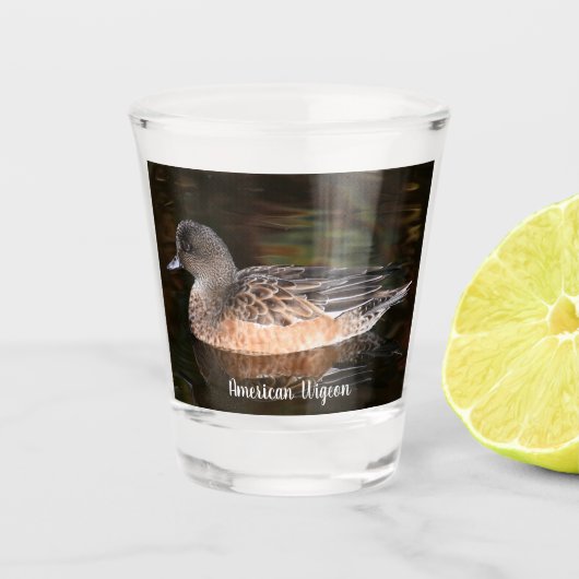アメリカのウィゲオン野生動物写真 ショットグラス (正面)