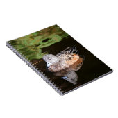 アメリカのウィゲオン野生動物写真 ノートブック (右側)