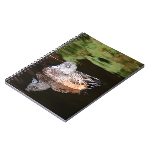 アメリカのウィゲオン野生動物写真 ノートブック (左側)