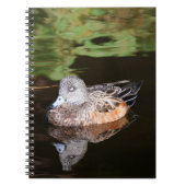 アメリカのウィゲオン野生動物写真 ノートブック (正面)
