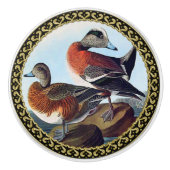 アメリカのウィドジョンは岩の上でアヒルをする セラミックノブ (正面)