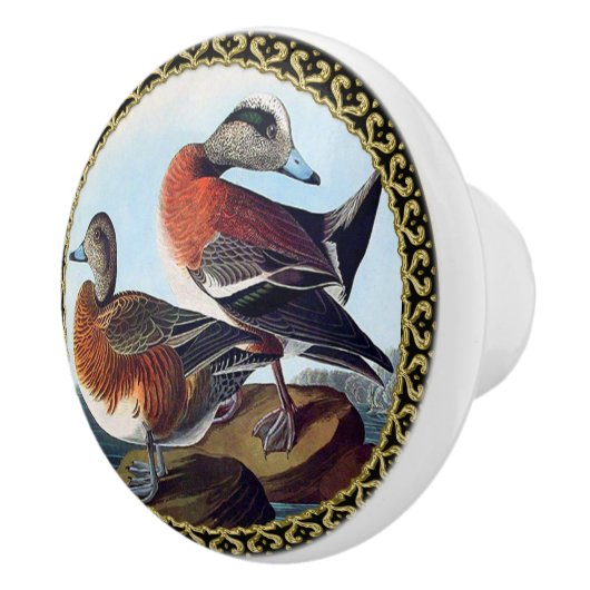 アメリカのウィドジョンは岩の上でアヒルをする セラミックノブ (右)