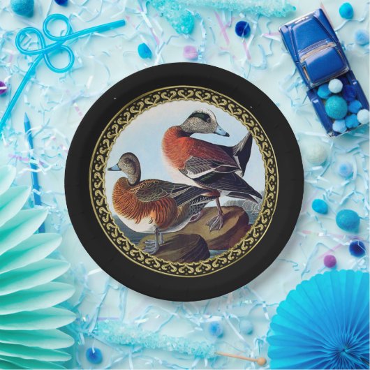 アメリカのウィドジョンは岩の上でアヒルをする ペーパープレート (パーティー)