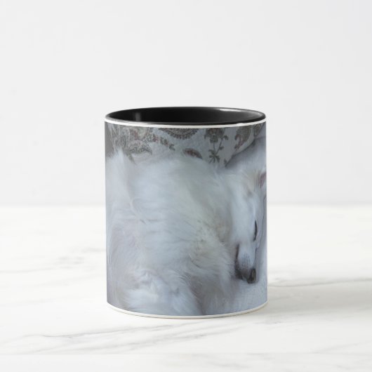 アメリカのエスキモーのマグ マグカップ (中央)