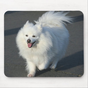アメリカのエスキモーのmousepad マウスパッド