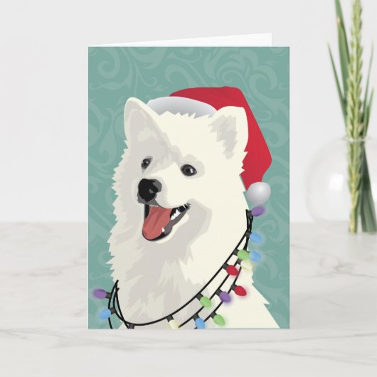 アメリカのエスキモーのSamoyedのかわいい小犬のクリスマス シーズンカード (正面)