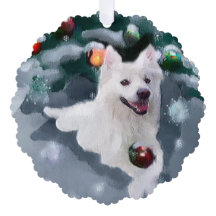 アメリカのエスキモー犬のクリスマス