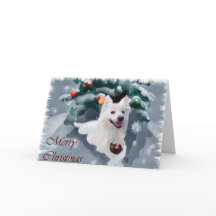 アメリカのエスキモー犬のクリスマス
