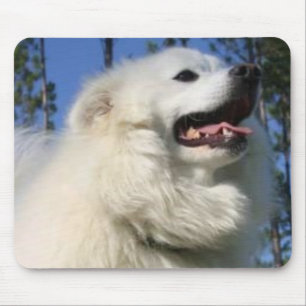 アメリカのエスキモー犬のマウスパッド マウスパッド