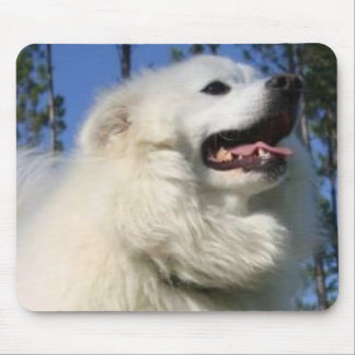 アメリカのエスキモー犬のマウスパッド マウスパッド