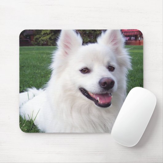 アメリカのエスキモー犬 マウスパッド (マウス)
