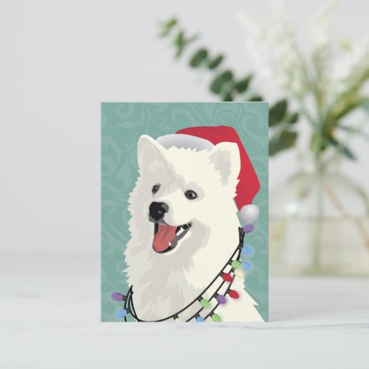 アメリカのエスキモーSamoyedかわいい子犬のクリスマス シーズンポストカード (スタンド正面)