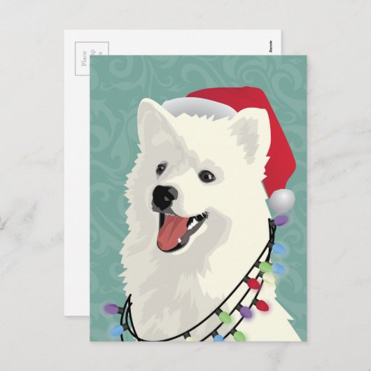 アメリカのエスキモーSamoyedかわいい子犬のクリスマス シーズンポストカード (正面/裏面)