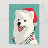 アメリカのエスキモーSamoyedかわいい子犬のクリスマス シーズンポストカード (正面)
