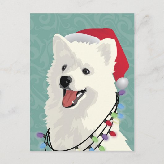アメリカのエスキモーSamoyedかわいい子犬のクリスマス シーズンポストカード (正面)