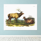 アメリカのエルク、またはWapiti Deer by Audubon キャンバスプリント (インサイチュ (ウッドフロア))
