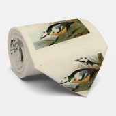 アメリカのオデュボンのアメリカ鳥類図鑑からのマガモ ネクタイ (ロール)