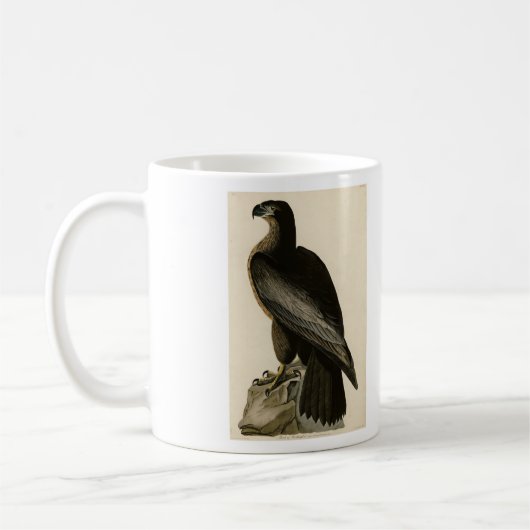 アメリカのオードボンの鳥からワシントンの鳥 コーヒーマグカップ (左)