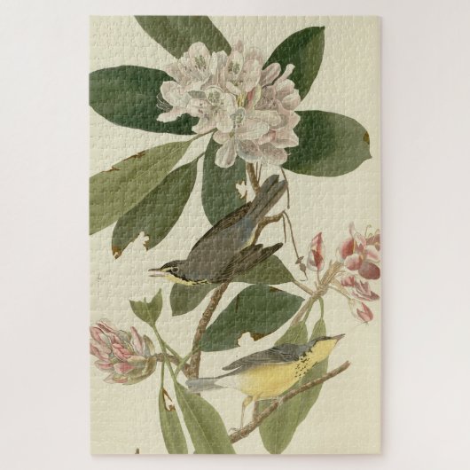 アメリカのオードボンの鳥から来たカナダウォーブラー ジグソーパズル (縦)