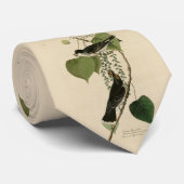 アメリカのオードボンの鳥から来たキングバード東部 ネクタイ (ロール)