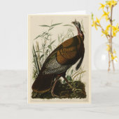 アメリカのオードボンの鳥から来た野生のトルコ（男性） カード (黄色い花)