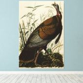 アメリカのオードボンの鳥から来た野生のトルコ（男性） キャンバスプリント (インサイチュ (ウッドフロア))