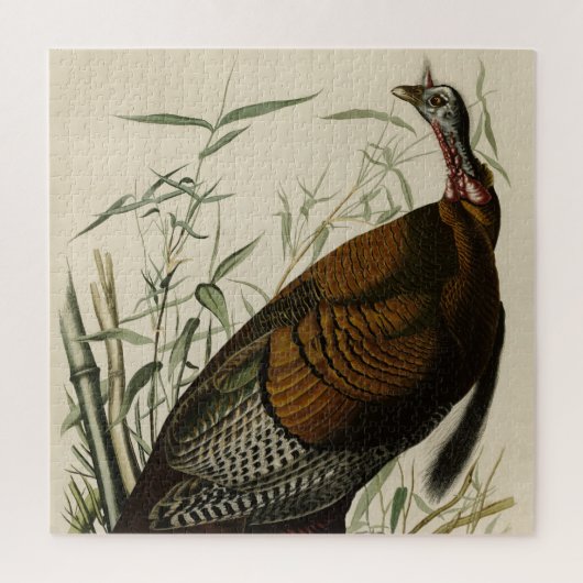アメリカのオードボンの鳥から来た野生のトルコ（男性） ジグソーパズル (縦)