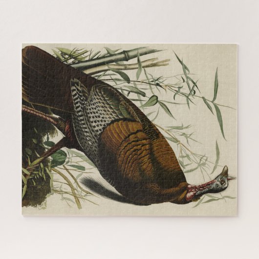 アメリカのオードボンの鳥から来た野生のトルコ（男性） ジグソーパズル (横)