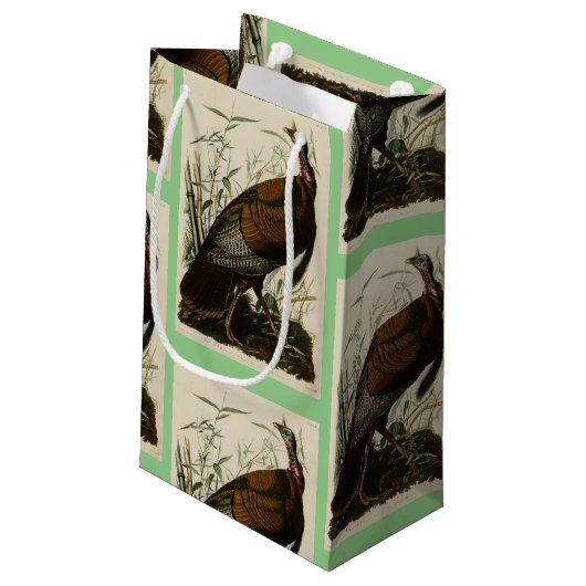 アメリカのオードボンの鳥から来た野生のトルコ（男性） スモールペーパーバッグ (裏面アングル)
