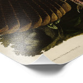 アメリカのオードボンの鳥から来た野生のトルコ（男性） フォトプリント            (角)