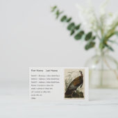 アメリカのオードボンの鳥から来た野生のトルコ(男性) 名刺 (スタンド正面)