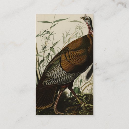アメリカのオードボンの鳥から来た野生のトルコ（男性） 名刺 (裏面)