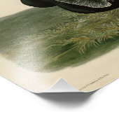 アメリカのオードボンの鳥から来た黒いハゲワシ フォトプリント            (角)