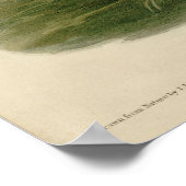 アメリカのオードボンの鳥から来た黒いハゲワシ ポスター (角)