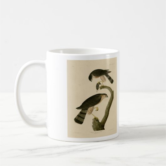 アメリカのオードボンの鳥から生まれた鋭い鷹 コーヒーマグカップ (左)