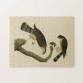 アメリカのオードボンの鳥から生まれた鋭い鷹 ジグソーパズル (横)