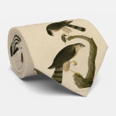 アメリカのオードボンの鳥から生まれた鋭い鷹 ネクタイ (ロール)