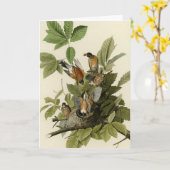 アメリカのオードボンの鳥のロビン カード (黄色い花)