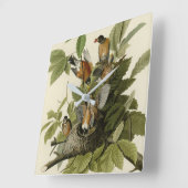 アメリカのオードボンの鳥のロビン スクエア壁時計 (傾斜)