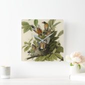 アメリカのオードボンの鳥のロビン スクエア壁時計 (ホーム)