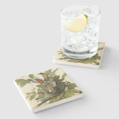 アメリカのオードボンの鳥のロビン ストーンコースター (横)