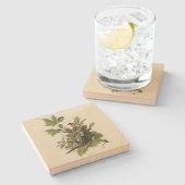 アメリカのオードボンの鳥のロビン ストーンコースター (横)